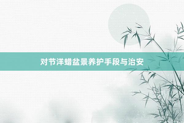 对节洋蜡盆景养护手段与治安